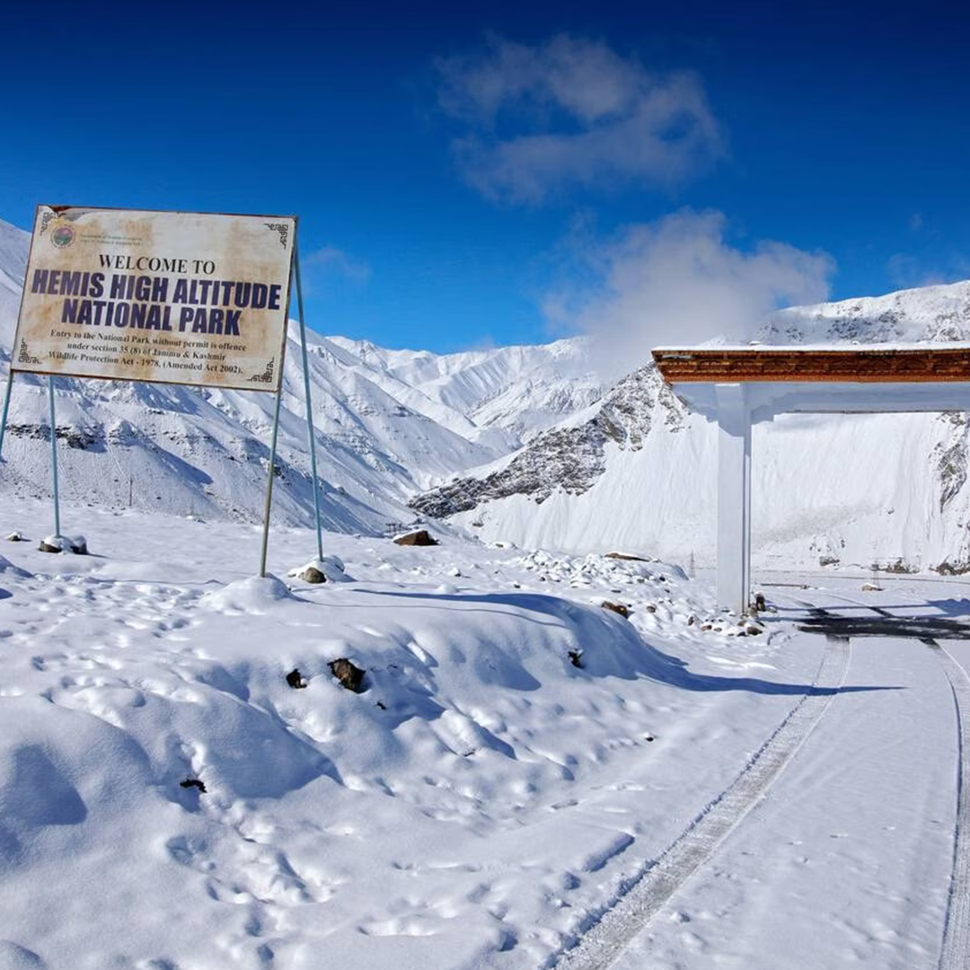 6-Day Leh Ladakh Road Trip: Nubra, Pangong Tso & Marsimik La