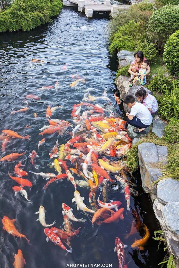 5 Days Vietnam Tour Package: Discover Hanoi, Saigon & More