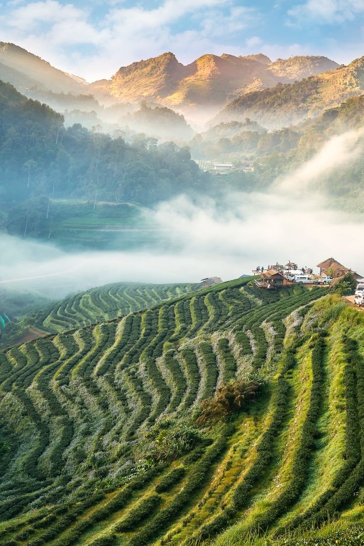 6 Days Fun Thailand Tour Package | Island Hopping Special