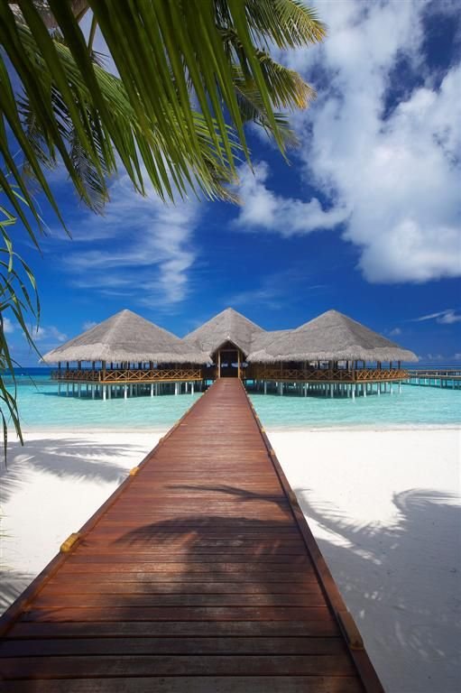 5-Days Maldives Tour Package: Relax & Unwind at Medhufushi