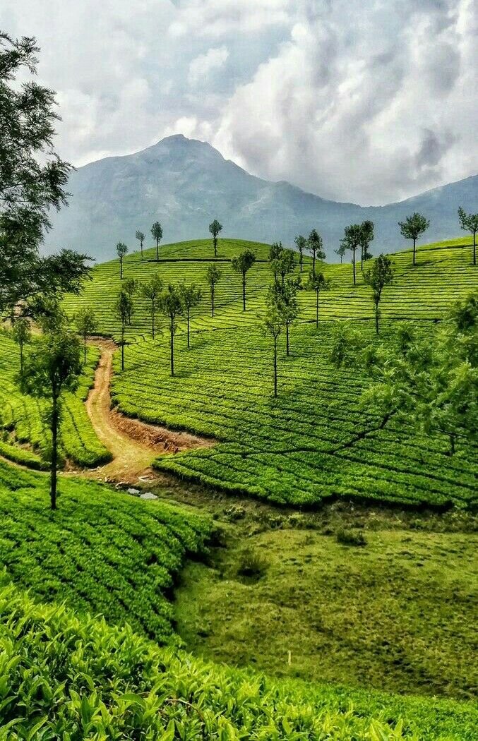 Simply Kerala