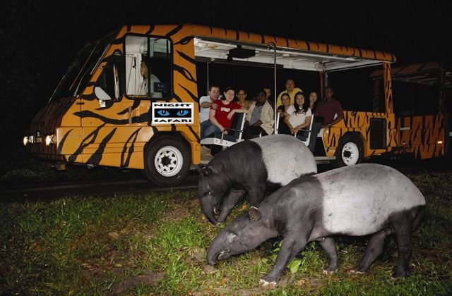 5D Best of Singapore Tour Package with Night Safari