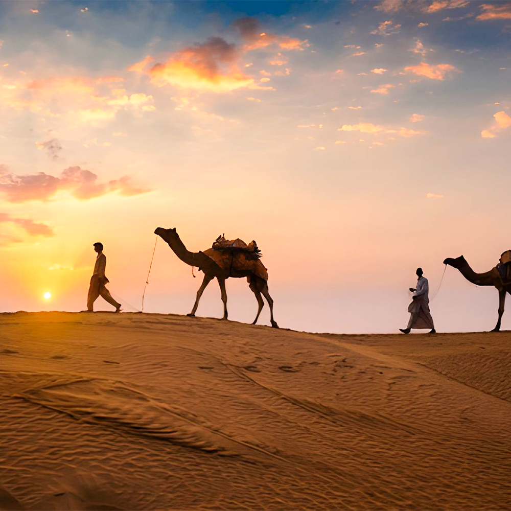 6-Day Rajasthan Group Tour| Jaipur, Jodhpur & Jaisalmer