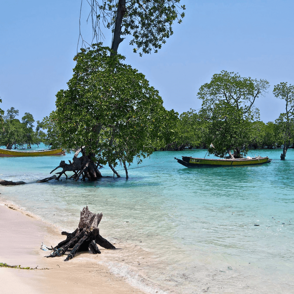 7 Days Adventure Andaman with Baratang Island