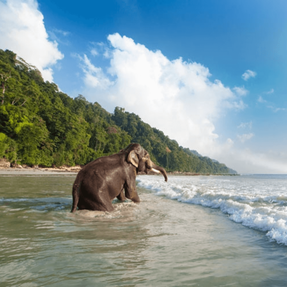 7 Days Andaman Tour Package with Havelock and Neil Islands
