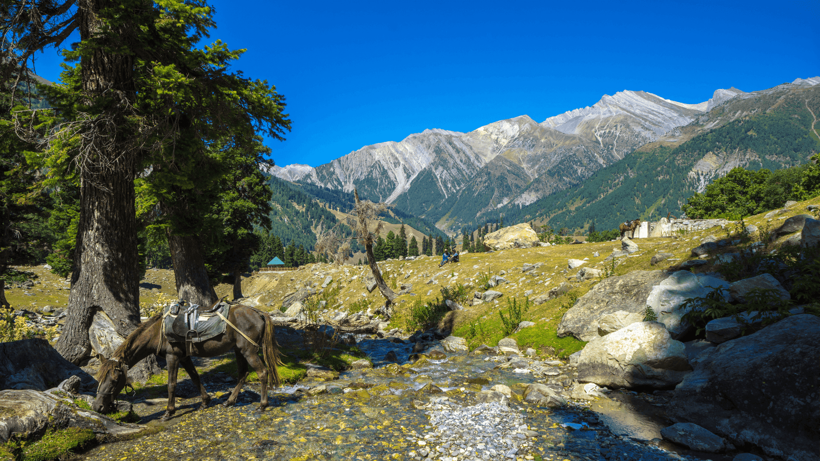 6 Days Tour to the Jewels of Kashmir