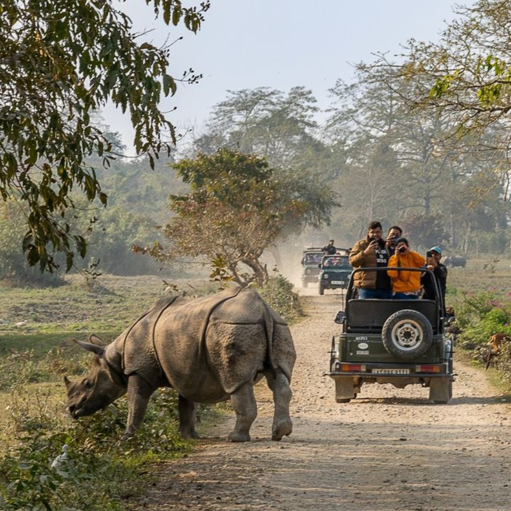 Meghalaya With Kaziranga Road Trip