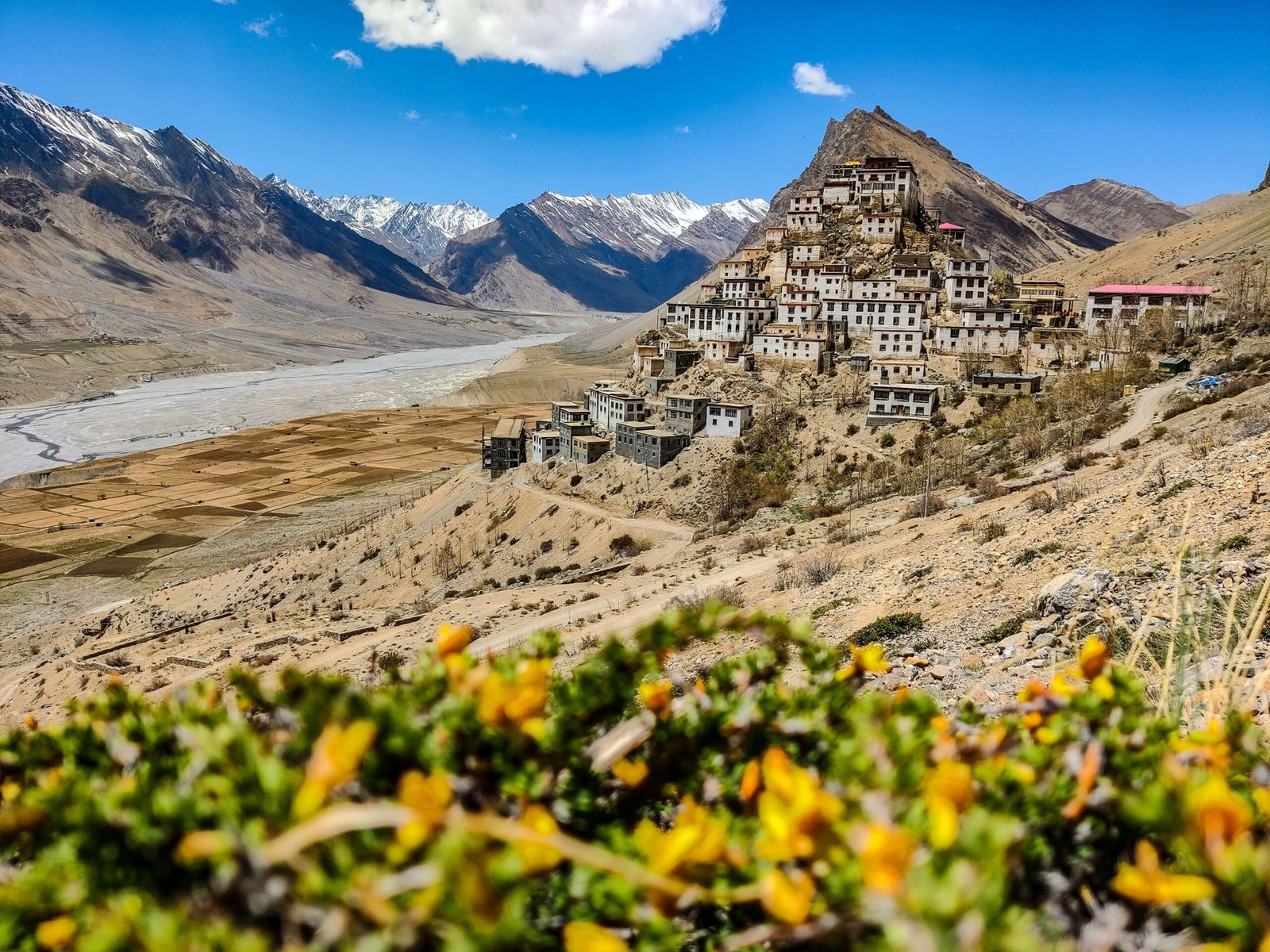 Spiti Summer