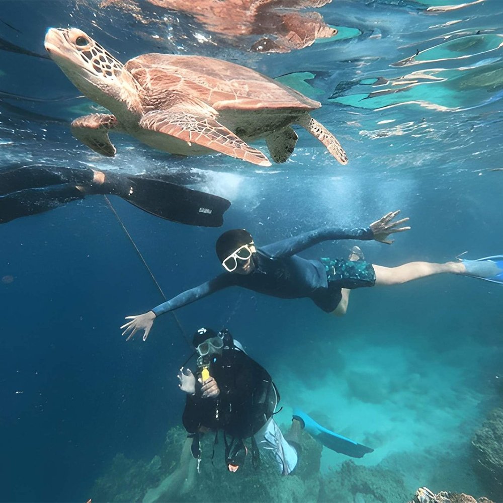 8 Days Philippines Community Trip - Best of Palawan, Cebu, and Moalboal!